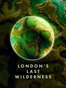 24868720-london-s-last-poster-225x300.jpeg